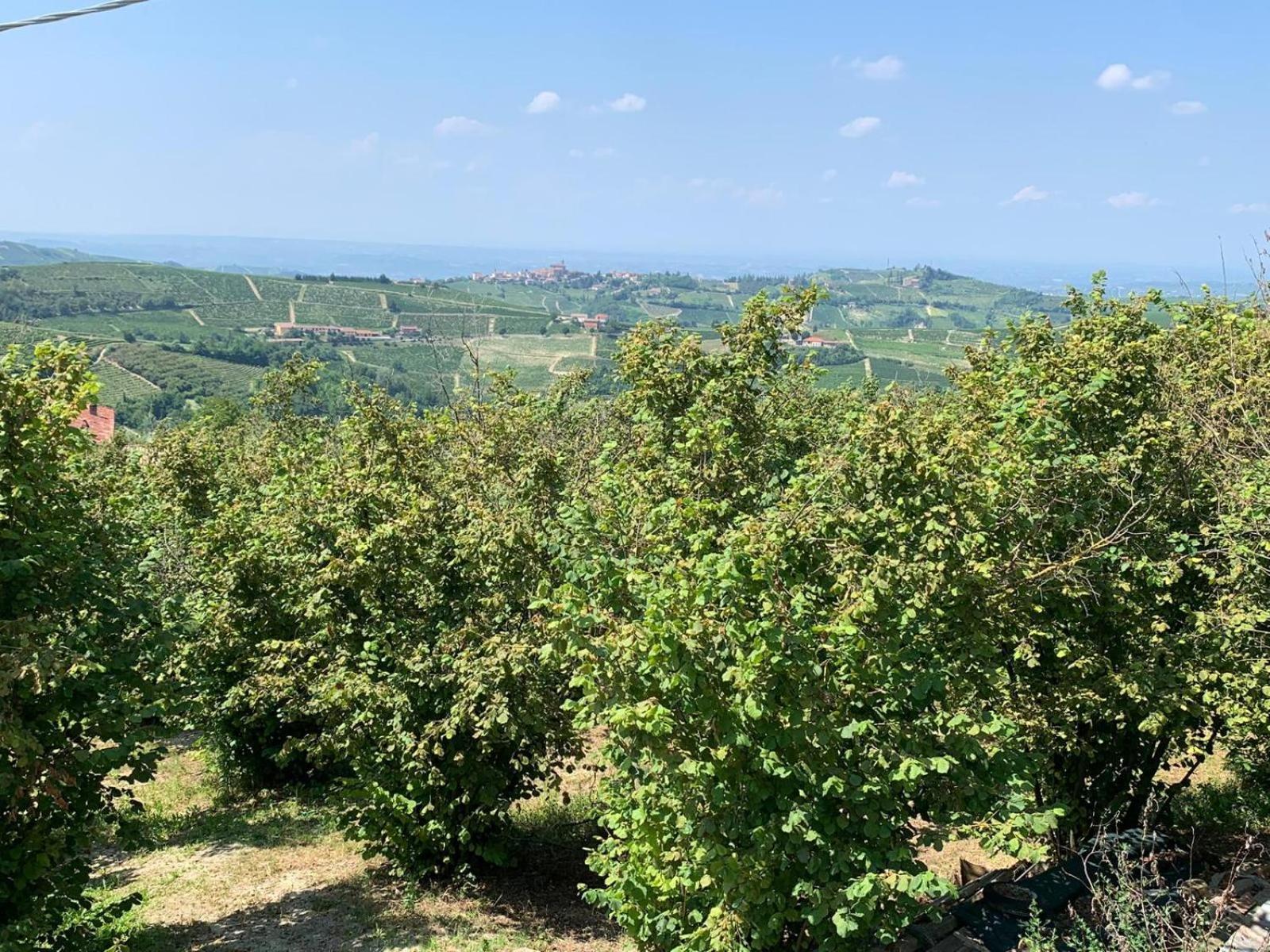 Agriturismo Cascina Anri Mango Exteriör bild