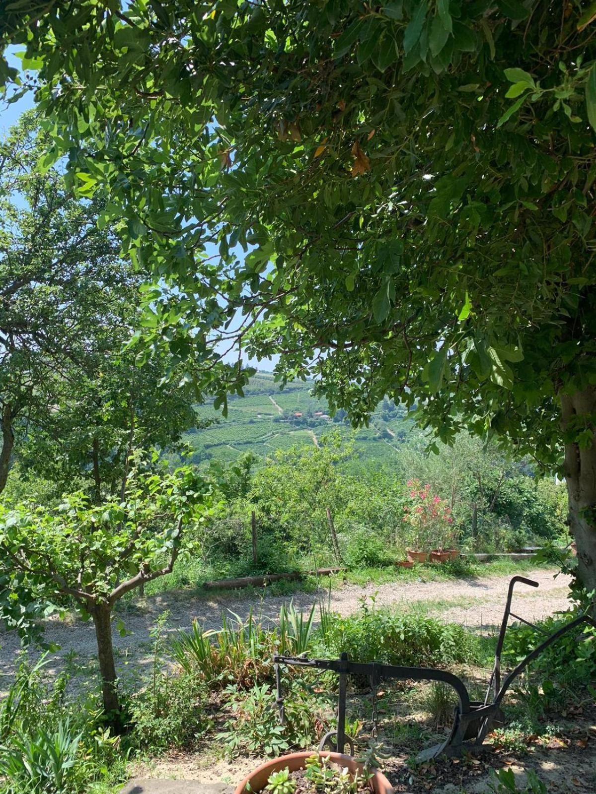 Agriturismo Cascina Anri Mango Exteriör bild